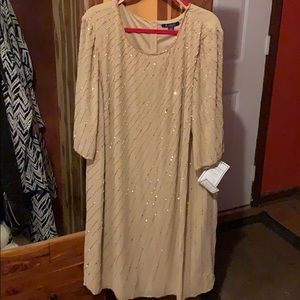 Beautiful sequined dress